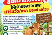 ขอความร่วมมือเจ้าของวัว/แพะ ที่ปัจจุบันยังไม่ได้มารับสัตว์ของท่าน กรุณา มารับวัว/แพะของท่านกลับโดยเร็ว