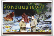 เข้ารับใบประกาศเกียติคุณการประกวดการขับเคลื่อนถังขยะเปียกลดโลกร้อน