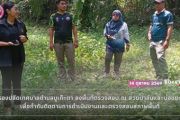 ปลัดเทศบาลตำบลบูเก๊ะตา พร้อมด้วยรองปลัดเทศบาล และเจ้าหน้าที่เทศบาล ลงพื้นที่ตรวจสอบบริเวณสวนปาล์มและบ่อขยะ